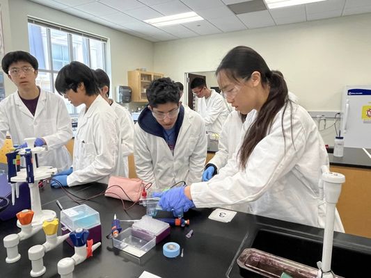 Center For Excellence In Education