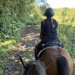HorseTales Ranch - Such peach only a short ride away