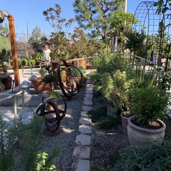 Roger's Gardens - 11/6/22 Culinary garden in front of the restaurant - Nurseries & Gardening Near Me - Corona Del Mar, California