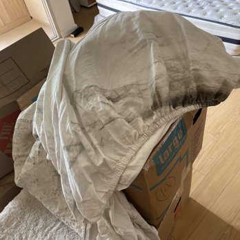 United Moving Solutions  - Bed cover lol, not even coming off with bleach - Movers Near Me - Henderson, Nevada