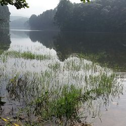 Parque Estadual da Cantareira - Núcleo Cabuçu