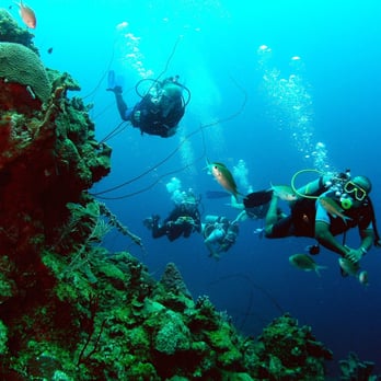 A Diver's World - Snorkeling Near Me - Lakeville, Minnesota