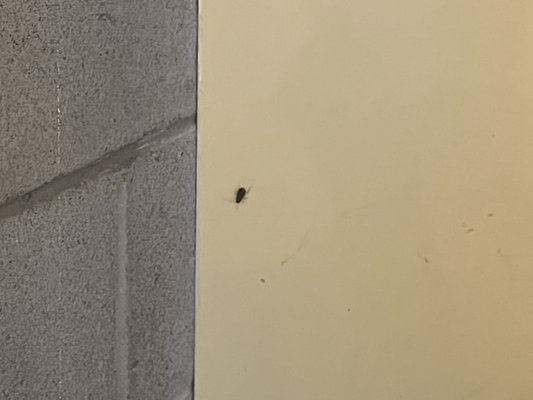 Sam’s of San Francisco by null