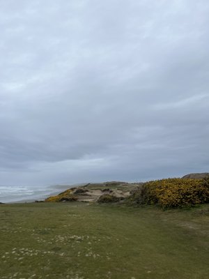 Bandon Dunes Golf Resort - Pacific Dunes by null