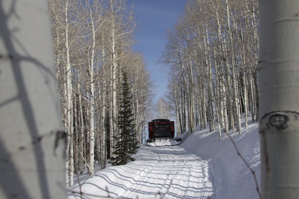 Steamboat Powdercats by null