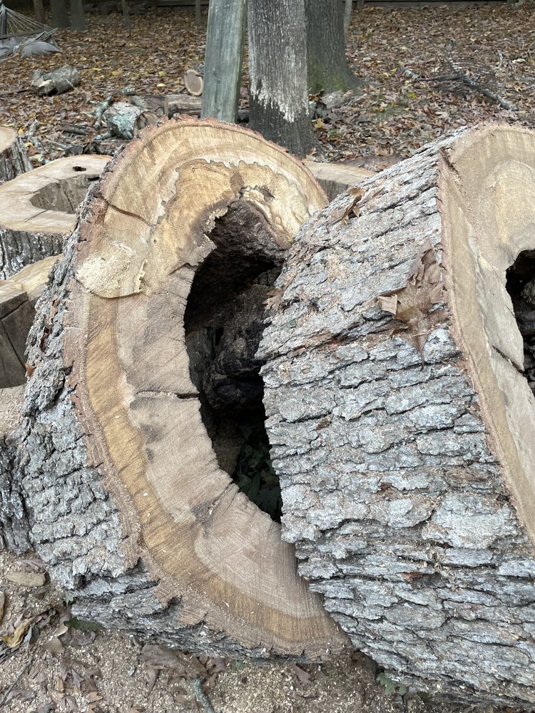 GUZMAN BROTHERS TREE SERVICES Updated August 2024 20 Photos & 11 Reviews 1940 Lizard Lick