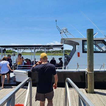 Captain Derek's Dolphin Adventure - Tours Near Me - Tybee Island, Georgia