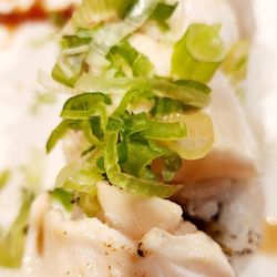 Kobe Japan - WHITE TIGER ROLL