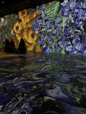 OASIS immersion by null