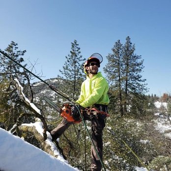 Lepley Tree Service  - Tree Services Near Me - Oakhurst, California