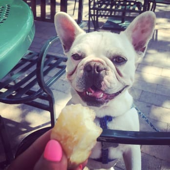 Mag's Donuts & Bakery - Mini buns for my little boy - Donuts Near Me - Irvine, California