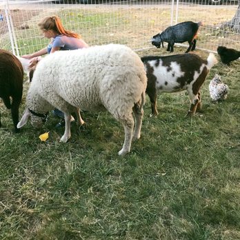 Pony Ranch Parties - Petting Zoos Near Me
