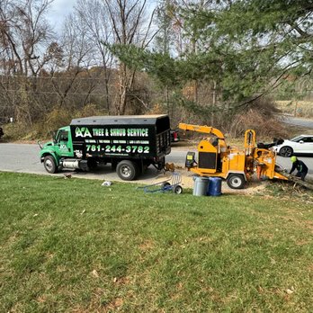 A&A Tree Service - Tree Services Near Me - Reading, Massachusetts