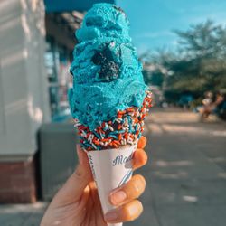 Handel's Homemade Ice Cream & Yogurt