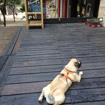 The Mixing Bowl - Pugs love the mixing bowl! - Cooking Schools Near Me - Hong Kong, HK
