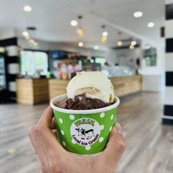Fresh Local Ice Cream - Holly Springs - Banana pudding and Midnight brownie