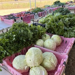 Bonsall Farms Farmer's Market