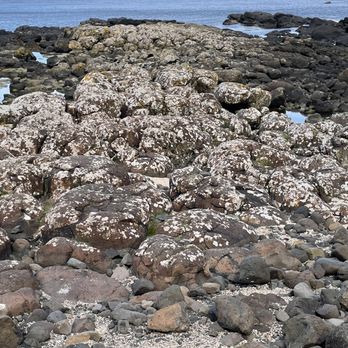 Giant's Causeway - Onion skin rocks - Landmarks & Historical Buildings Near Me - Bushmills, MYL
