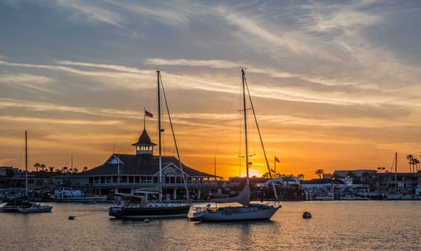 Davey's Locker Whale Watching & Sportfishing by null