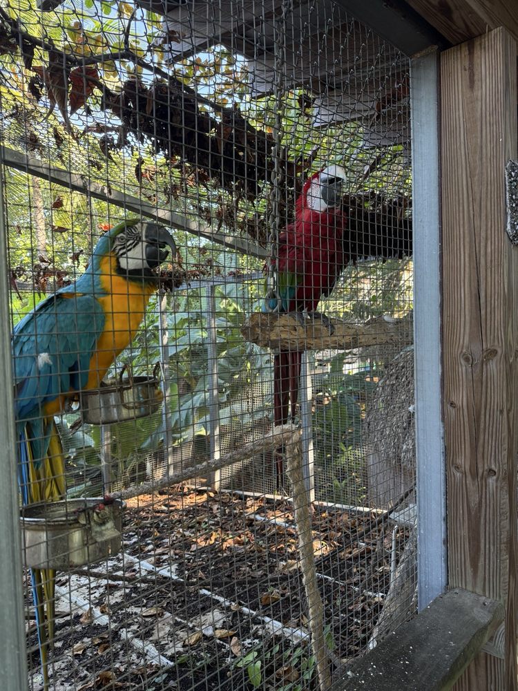 Earth N Us Farm - social services organization in Miami, FL