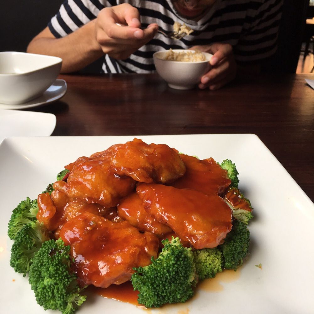 Veggie Fun - Spicy General Tso's Soy Protein - Vegan Near Me - Providence, Rhode Island