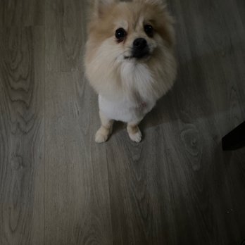 FairyTail Grooming - Pet Groomers Near Me - Upland, California