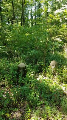 Evergreen Cemetery by null