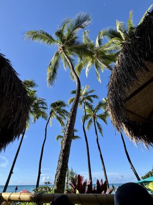 Waikīkī Beach by null