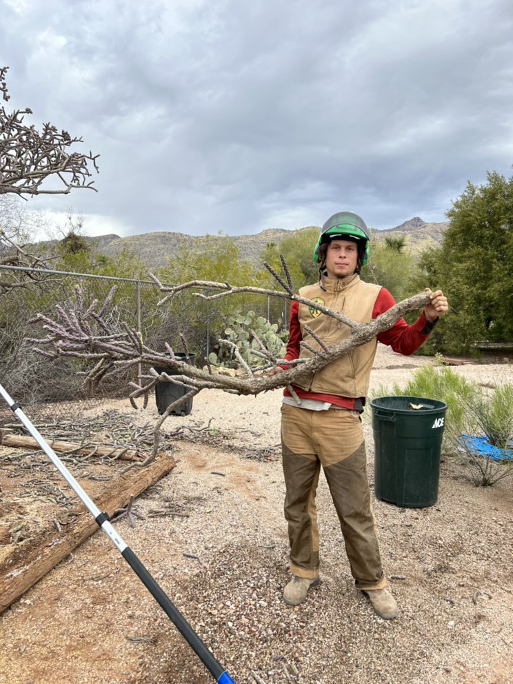 Howlin’Dog Tree Care - tree service in Tucson, AZ