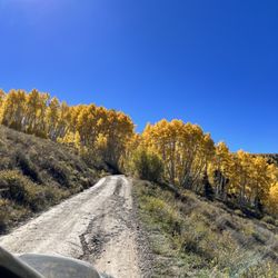 Last Dollar Road