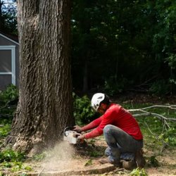 JB Tree Service - JB Tree Service