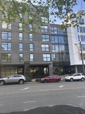 Liza Eastlake by null