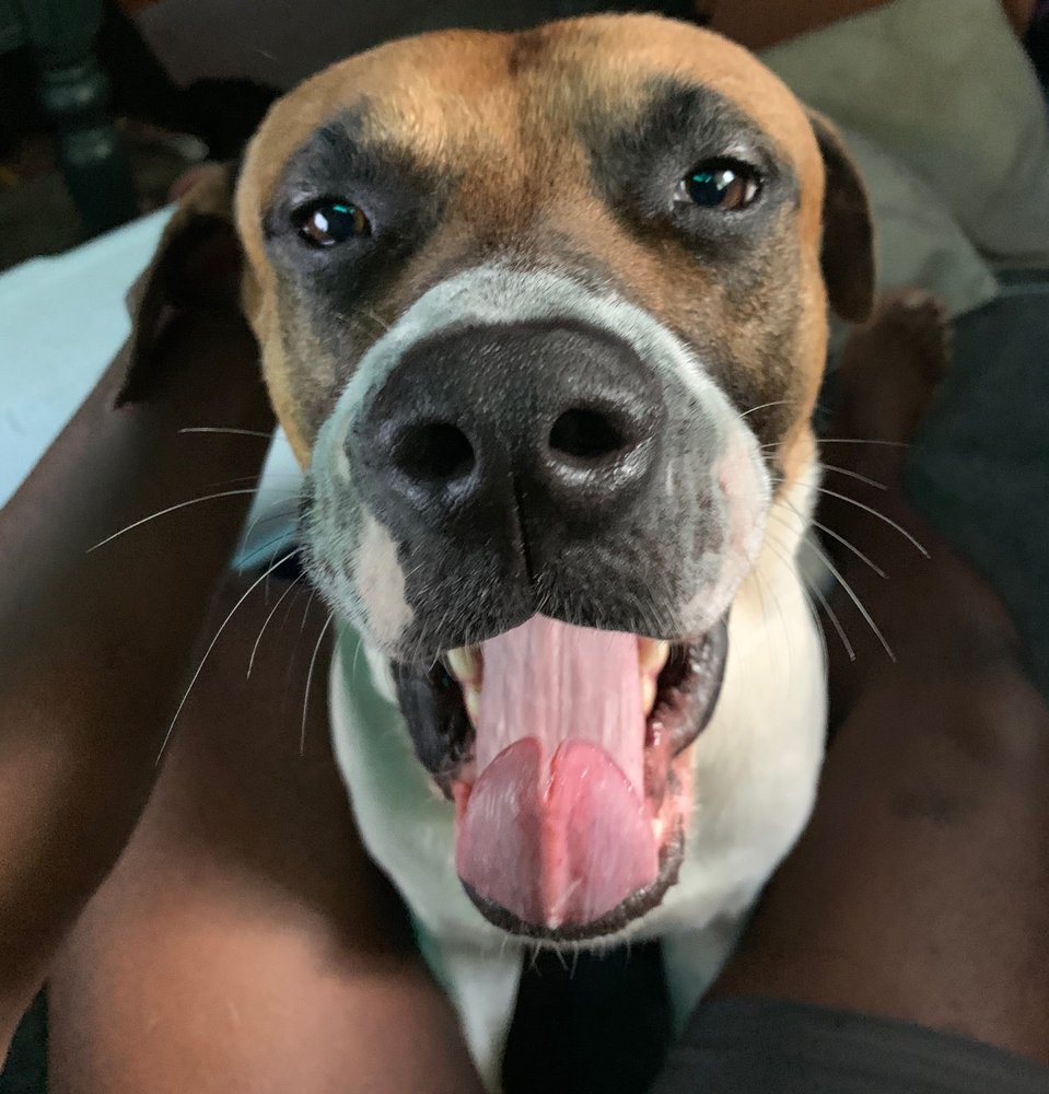 LANGFORD DAVID M DR VET Updated August 2024 2723 Bessemer Super Hwy