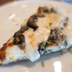 2014 Yelp 500 Challenge