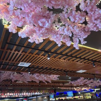 Machi Sushi - Restaurant - Sushi Bars Near Me - Killeen, Texas Machi Sushi - Restaurant - Sushi Bars Near Me - Killeen, Texas