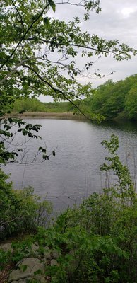 Cranberry Lake Preserve by null