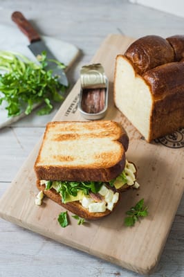 Plain Vanilla ION Orchard by null