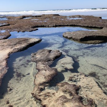 Torrey Pines State Reserve - Low tide on the way to Flat Rock - Parks Near Me - La Jolla, California