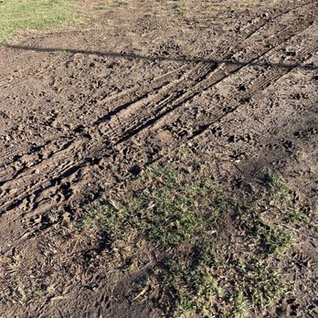 Costa Mesa Bark Park - Dog Parks Near Me - Costa Mesa, California