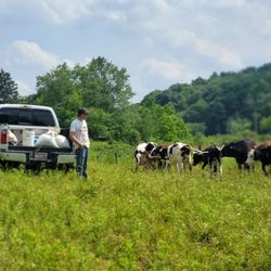Ellington Farms