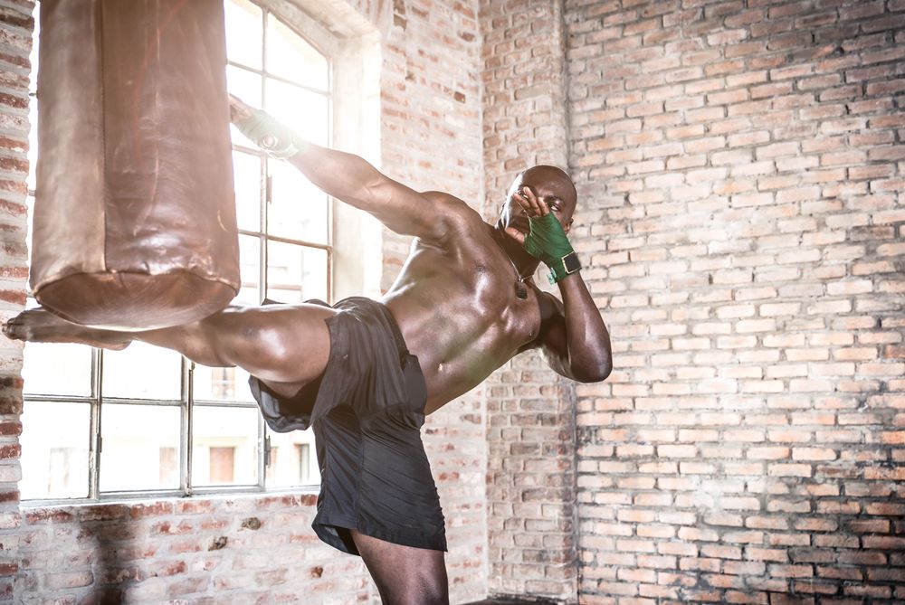 PREMIER MARTIAL ARTS AVENTURA Updated August 2024 70 Photos 20335