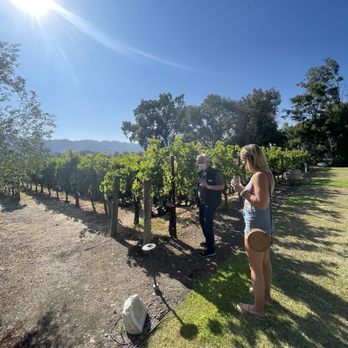 Napa Cellars - Wine tour. - Wineries Near Me - Oakville, California Napa Cellars - Wine tour. - Wineries Near Me - Oakville, California