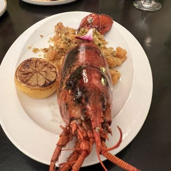 Khaar - Lobster appetizer - Indian Near Me - Sunnyvale, California Khaar - Lobster appetizer - Indian Near Me - Sunnyvale, California