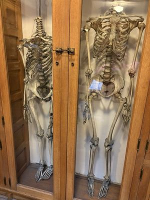 Indiana Medical History Museum by null