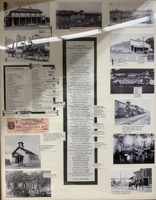 Bosworth and Son Store by null