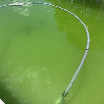 Island Time Pool Service - Pool Cleaners Near Me - Phoenix, Arizona