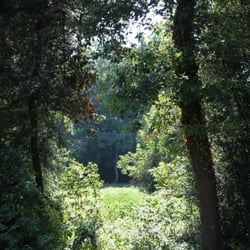 Parco delle Cascine di Tavola