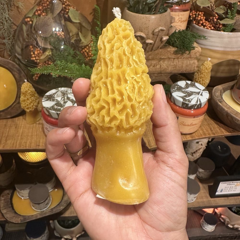 Candlestock - What morel can you ask for? - Home Decor Near Me - Woodstock, New York Candlestock - What morel can you ask for? - Home Decor Near Me - Woodstock, New York