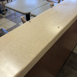 Wendy's - Flies everywhere!