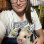 Photo of California Mini Pigs